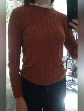 Slim Ribbed Crewneck Sweater in Rust With Embroidered Neck Detail